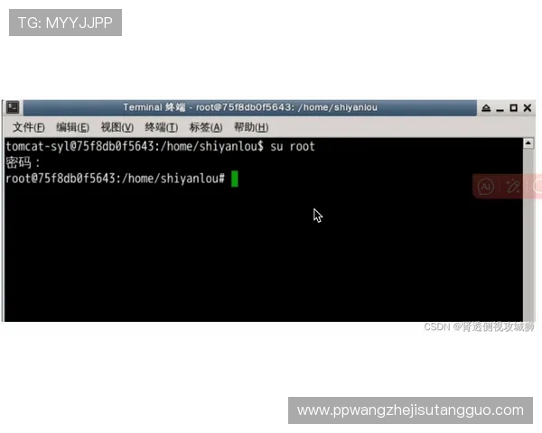 如何安全快速登录PGSoft游戏官网确保账号信息安全的实用技巧