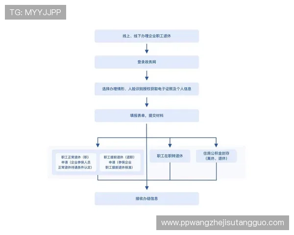 新手必看：PG国际平台开户的详细操作流程与注意事项