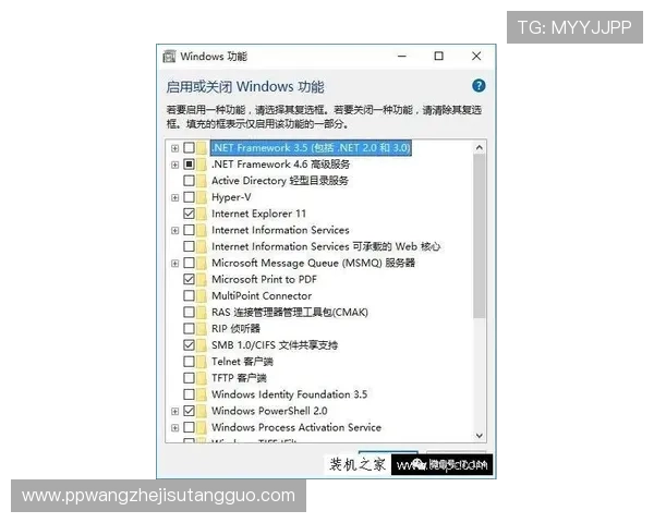 CPG电脑版官网下载常见问题解答，解决下载中遇到的各种技术难题